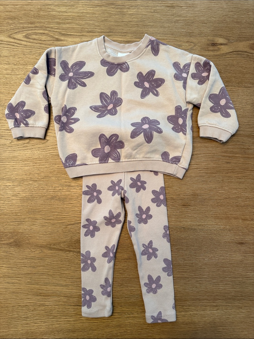 Zara Pink and Lavender Floral Sweatshirt and Legging Set Size 2T